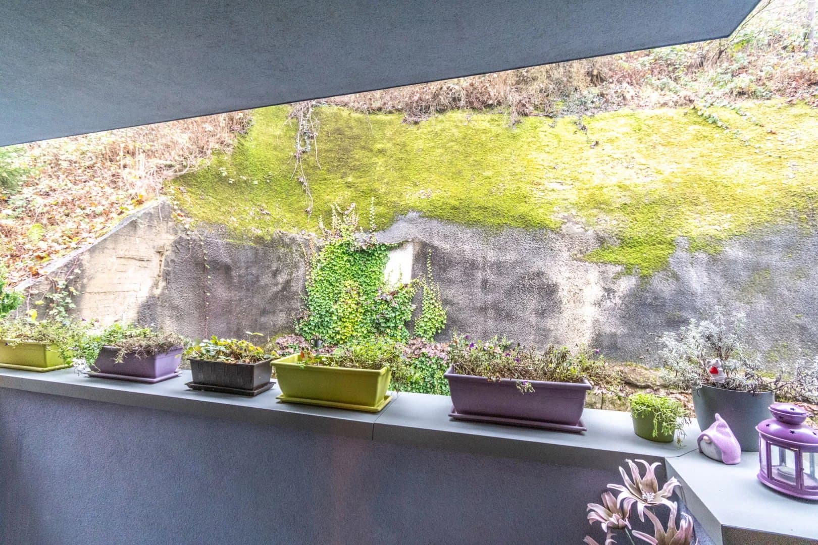Appartement - Luxembourg-Neudorf (5/6)
